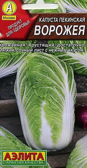 Капуста пекинская Ворожея