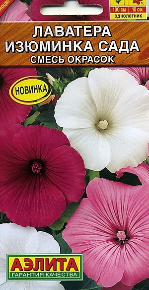 �������� �������� ����, �����