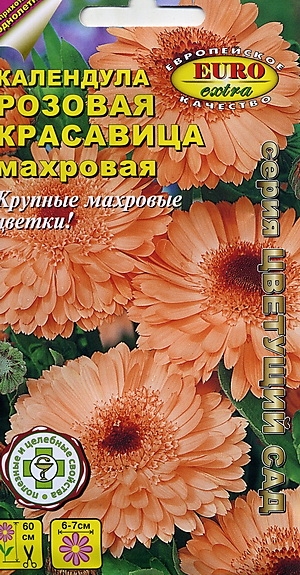Календула Розовая красавица махровая