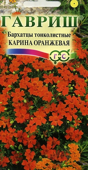Бархатцы Карина оранжевая
