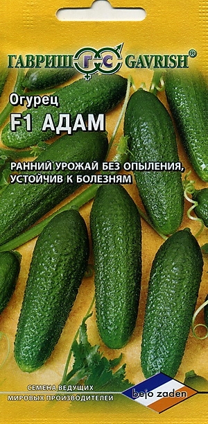   F1