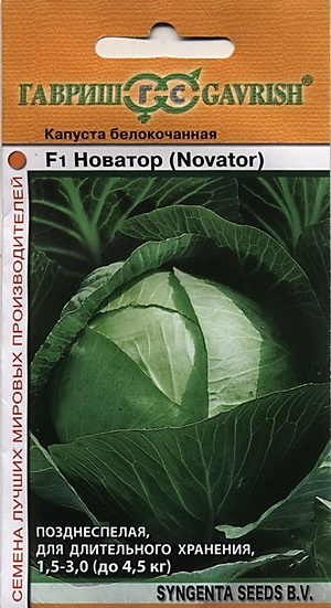    F1 (Novator)