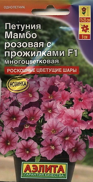   F1   