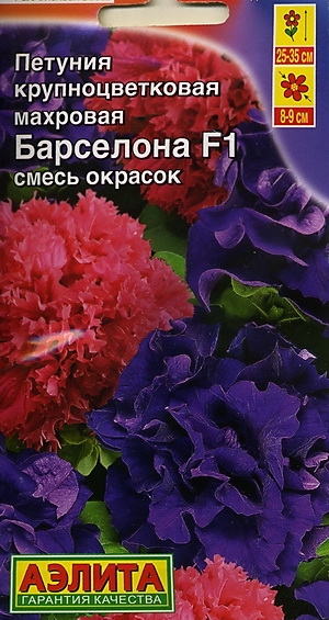   F1, 