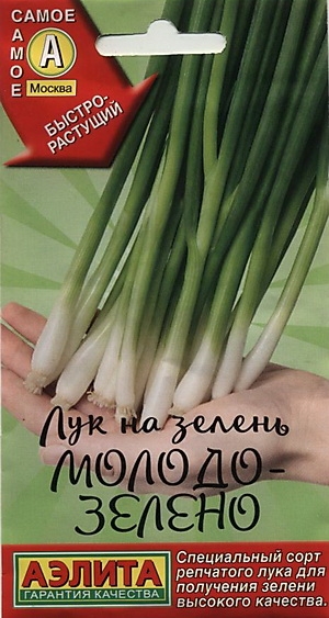 Лук на зелень Молодо-зелено