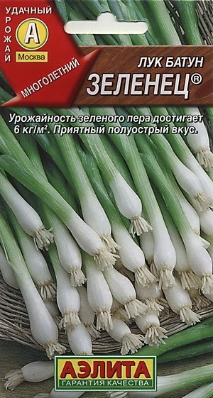 Лук батун Зеленец