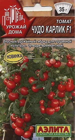 Томат Чудо карлик F1