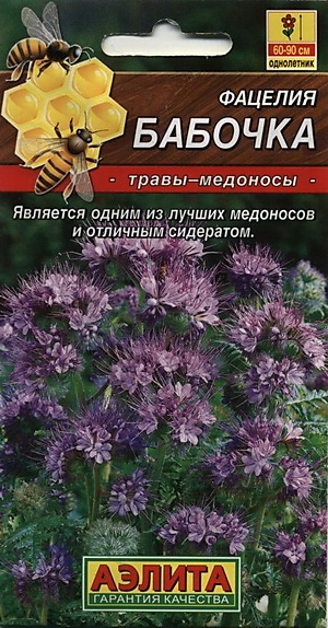 Фацелия Бабочка