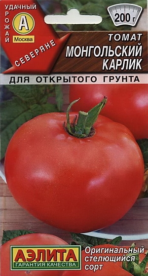Томат Монгольский карлик