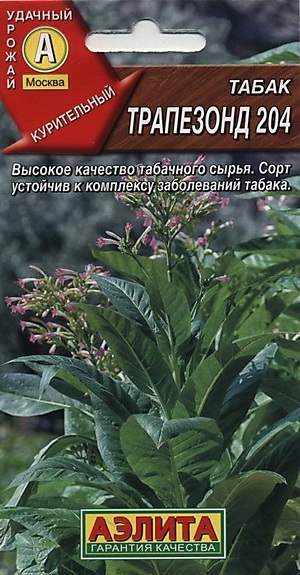  204