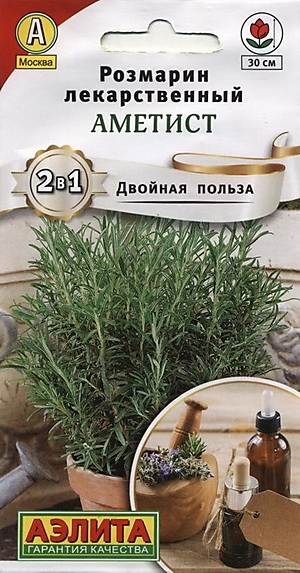 Розмарин Аметист