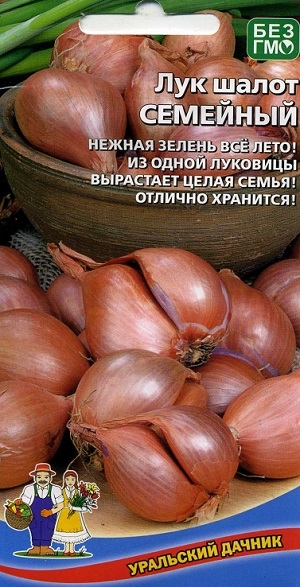 ��� ����� �������� ��������� ������