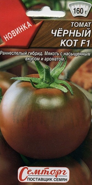 ����� ׸���� ��� F1 (�������)