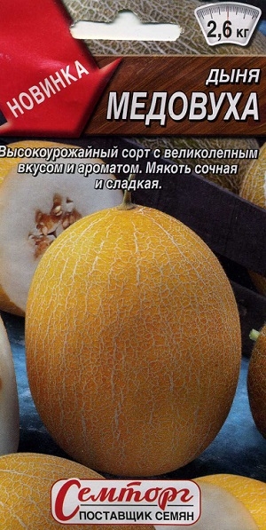 ���� �������� (�������)