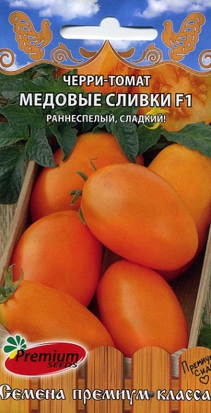 �����-����� ������� ������ F1