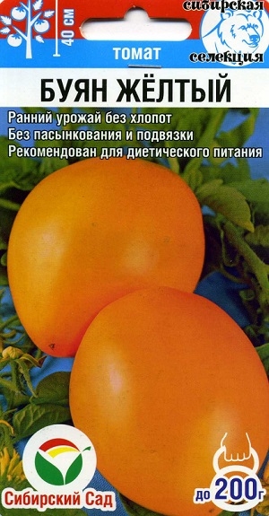 ����� ���� ����� ��������� ���