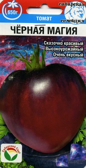 ����� ׸���� ����� ��������� ���