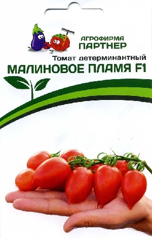 ����� �������������� ��������� ����� F1 ��������� �������