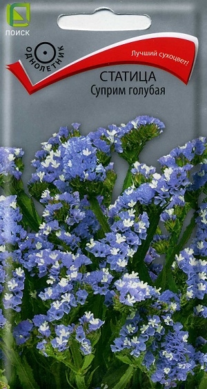 ������� ������ ������� �����