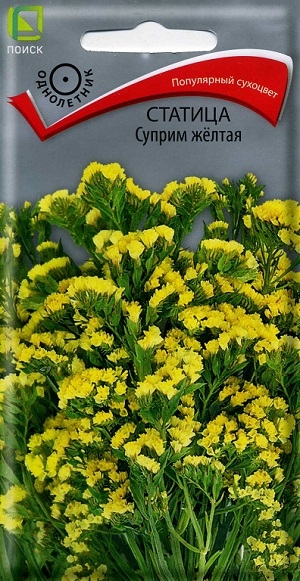 ������� ������ ����� �����