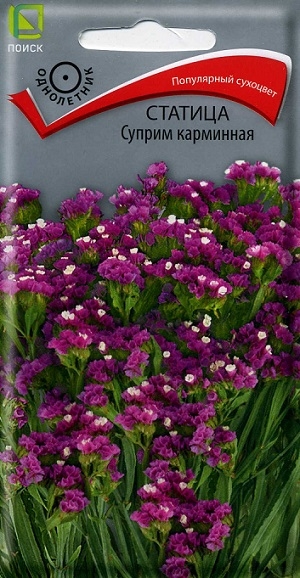 ������� ������ ��������� �����