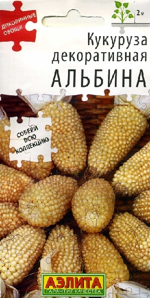 �������� ������������ �������