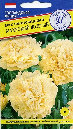 ��� ����������� �������� ������ ������� ������