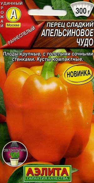 ����� ������� ������������ ����