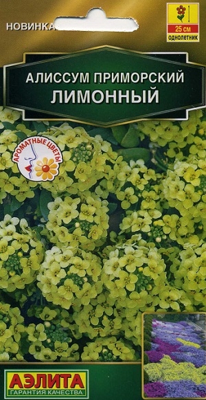 ������� ���������� ��������