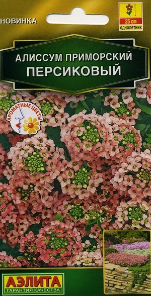 ������� ���������� ����������