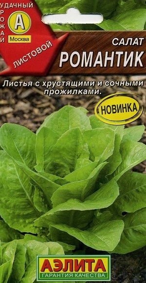 ����� ��������