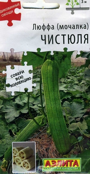 ����� (�������) �������