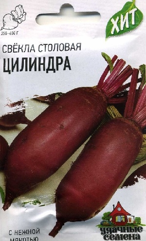 ����� �������� �������� (������)