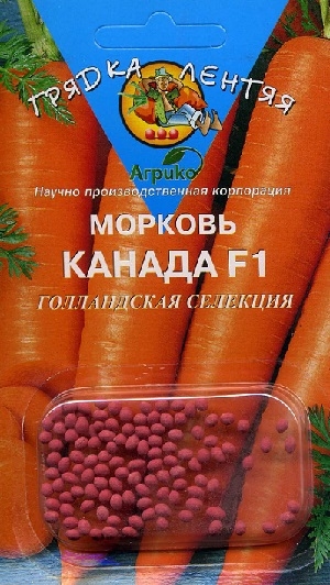 ������� ������ F1 (������)