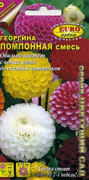 �������� ��������� �����