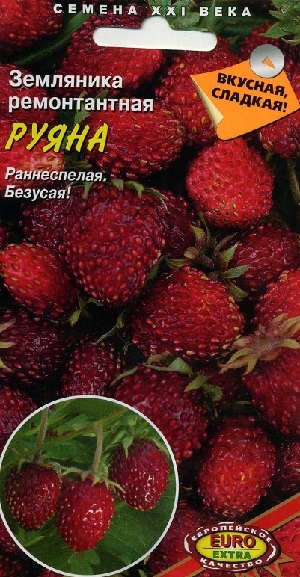 ��������� ������������ �����