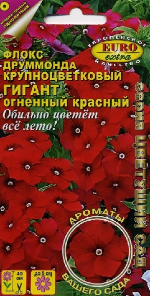 ����� ��������� ��������������� ������ �������� �������