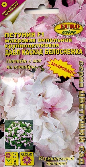 ������� F1 �������� ��������� ��������������� ���� ������ ����������