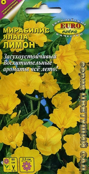 ��������� ����� �����