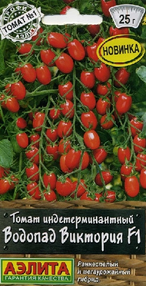 ����� ���������������� ������� �������� F1