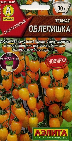 ����� ���������