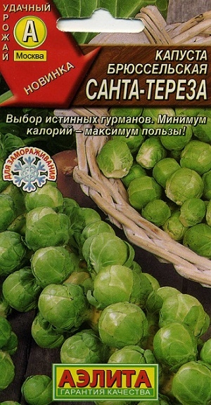 ������� ������������ �����-������