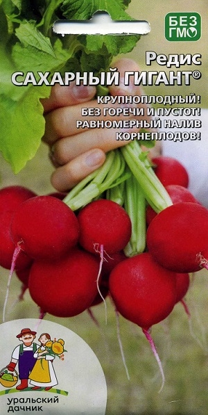 ����� �������� ������