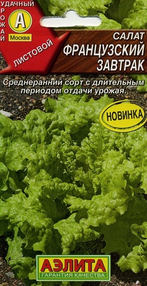 ����� ����������� �������