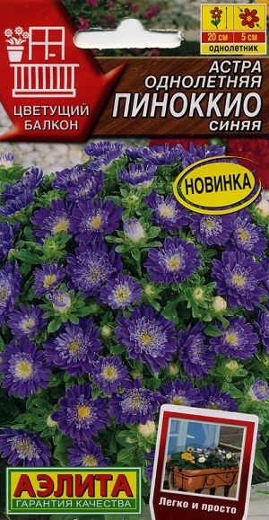 ����� ���������� �������� �����