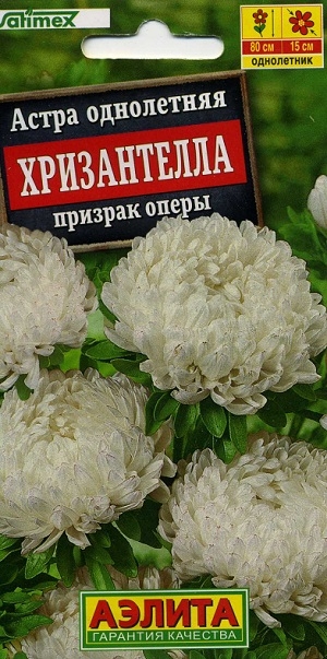 ����� ���������� ����������� ������� �����