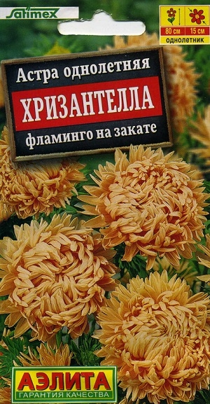 ����� ���������� ����������� �������� �� ������