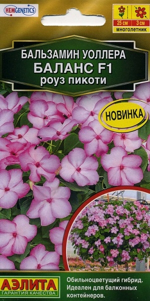 ��������� ������� ������ F1 ���� ������