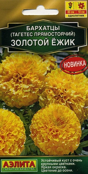 �������� (������� ������������) ������� ����