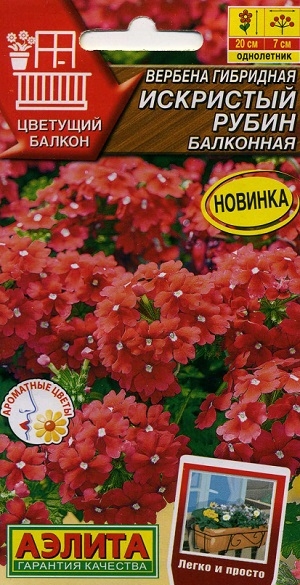 ������� ��������� ��������� ����� ���������